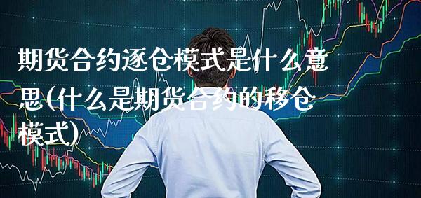 期货合约逐仓模式是什么意思(什么是期货合约的移仓模式) (https://www.njaxzs.com/) 内盘期货 第1张