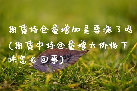 期货持仓量增加是要涨了吗(期货中持仓量增大价格下跌怎么回事) (https://www.njaxzs.com/) 黄金期货 第1张