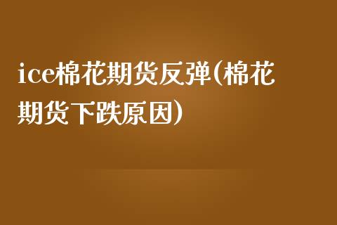 ice棉花期货反弹(棉花期货下跌原因) (https://www.njaxzs.com/) 原油期货 第1张