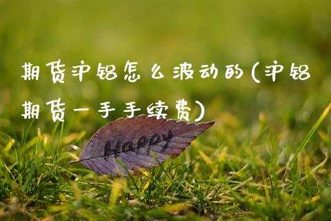 期货沪铝怎么波动的(沪铝期货一手手续费) (https://www.njaxzs.com/) 期货直播间 第1张