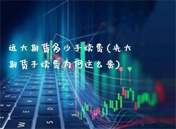 远大期货多少手续费(光大期货手续费为何这么贵) (https://www.njaxzs.com/) 原油期货 第1张