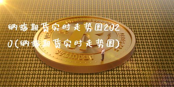 纳指期货实时走势图2020(纳指期货实时走势图) (https://www.njaxzs.com/) 期货投资 第1张