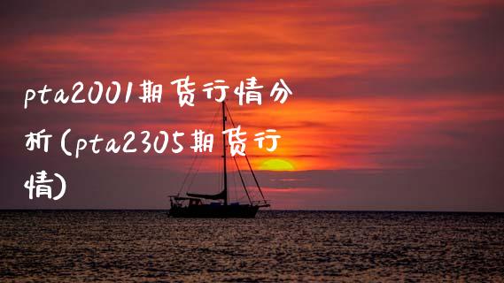 pta2001期货行情分析(pta2305期货行情) (https://www.njaxzs.com/) 内盘期货 第1张