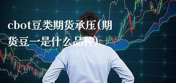 cbot豆类期货承压(期货豆一是什么品种) (https://www.njaxzs.com/) 内盘期货 第1张
