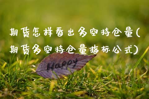 期货怎样看出多空持仓量(期货多空持仓量指标公式) (https://www.njaxzs.com/) 期货直播间 第1张