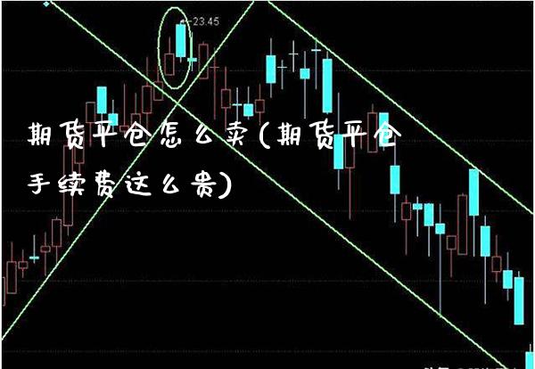 期货平仓怎么卖(期货平仓手续费这么贵) (https://www.njaxzs.com/) 黄金期货 第1张