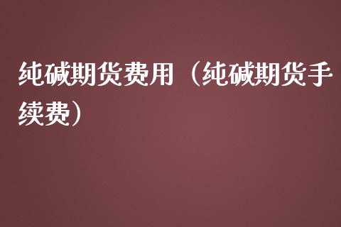 纯碱期货费用（纯碱期货手续费） (https://www.njaxzs.com/) 期货直播间 第1张