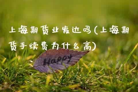 上海期货业发达吗(上海期货手续费为什么高) (https://www.njaxzs.com/) 黄金期货 第1张
