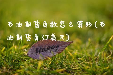石油期货负数怎么算的(石油期货负37美元) (https://www.njaxzs.com/) 期货直播间 第1张