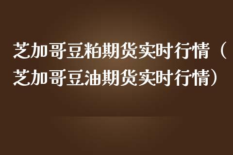 芝加哥豆粕期货实时行情（芝加哥豆油期货实时行情） (https://www.njaxzs.com/) 期货行情 第1张