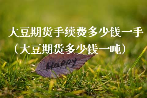 大豆期货手续费多少钱一手（大豆期货多少钱一） (https://www.njaxzs.com/) 内盘期货 第1张