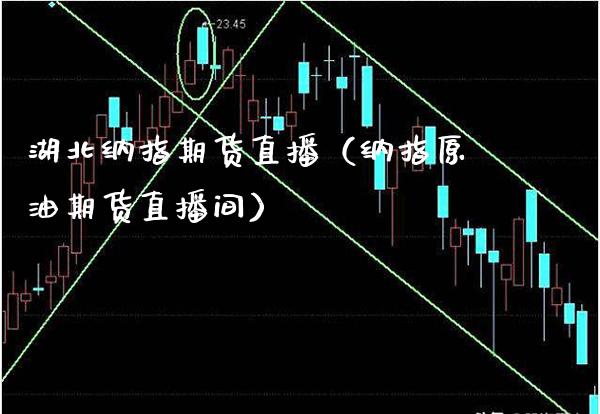 湖北纳指期货直播（纳指原油期货直播间） (https://www.njaxzs.com/) 期货行情 第1张