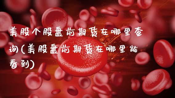 美股个股盘前期货在哪里查询(美股盘前期货在哪里能看到) (https://www.njaxzs.com/) 黄金期货 第1张