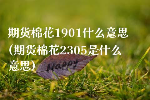期货棉花1901什么意思(期货棉花2305是什么意思) 内盘期货 第1张-爱新财经 期货棉花1901什么意思(期货棉花2305是什么意思) (https://www.njaxzs.com/) 内盘期货 第1张