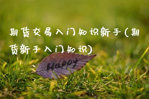 期货交易入门知识新手(期货新手入门知识) (https://www.njaxzs.com/) 期货投资 第1张