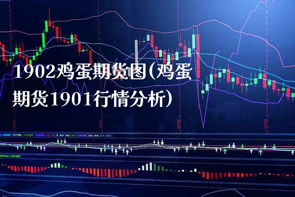 1902鸡蛋期货图(鸡蛋期货1901行情分析) (https://www.njaxzs.com/) 期货直播间 第1张