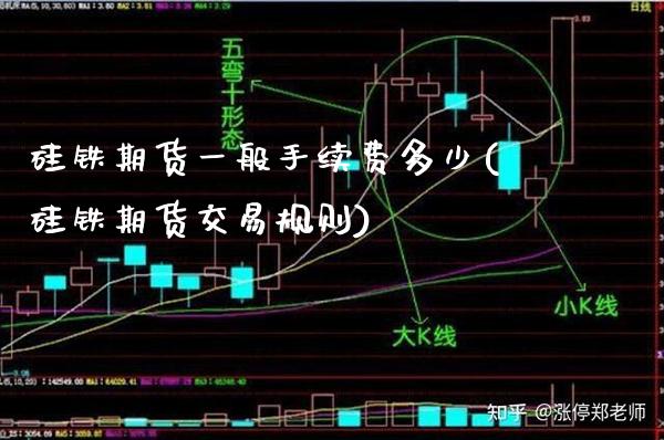 硅铁期货一般手续费多少(硅铁期货交易规则) (https://www.njaxzs.com/) 期货行情 第1张