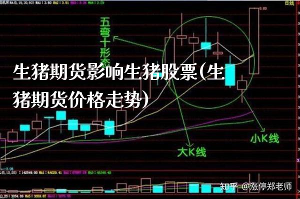 生猪期货影响生猪股票(生猪期货价格走势) (https://www.njaxzs.com/) 期货投资 第1张