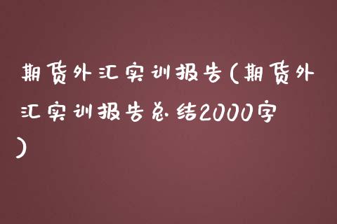 期货外汇实训报告(期货外汇实训报告总结2000字) (https://www.njaxzs.com/) 期货直播间 第1张
