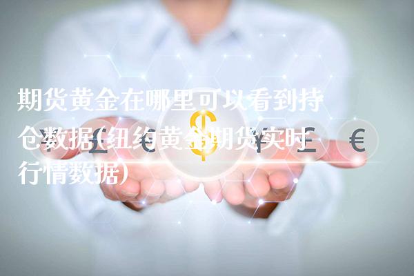 期货黄金在哪里可以看到持仓数据(纽约黄金期货实时行情数据) (https://www.njaxzs.com/) 黄金期货 第1张