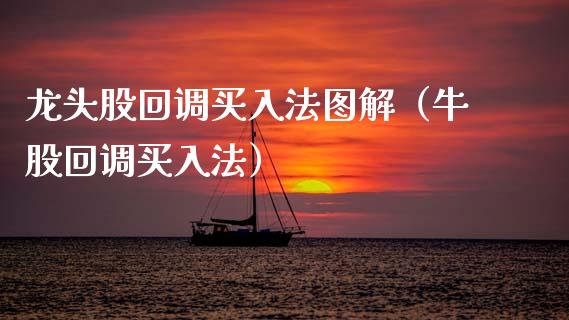 龙头股回调买入法图解(牛股回调买入法) 期货直播间 第1张-爱新财经 龙头股回调买入法图解(牛股回调买入法) (https://www.njaxzs.com/) 期货直播间 第1张