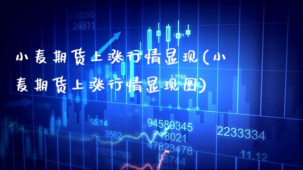 小麦期货上涨行情显现(小麦期货上涨行情显现图) (https://www.njaxzs.com/) 期货直播间 第1张