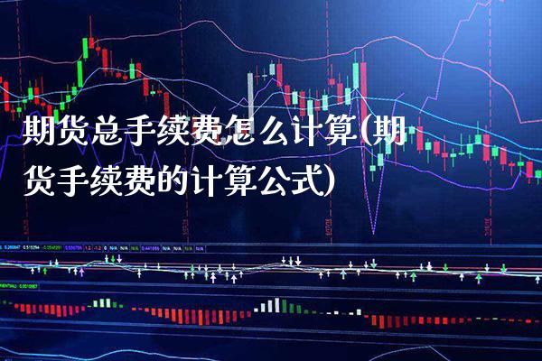 期货总手续费怎么计算(期货手续费的计算公式) (https://www.njaxzs.com/) 原油期货 第1张