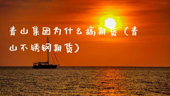 青山集团为什么搞期货（青山不锈钢期货） (https://www.njaxzs.com/) 期货直播间 第1张