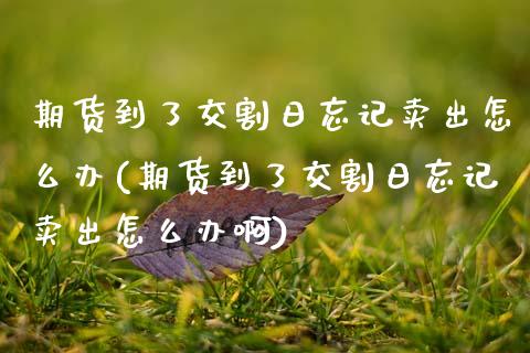 期货到了交割日忘记卖出怎么办(期货到了交割日忘记卖出怎么办啊) (https://www.njaxzs.com/) 期货直播间 第1张