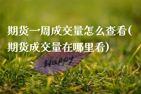 期货一周成交量怎么查看(期货成交量在哪里看) (https://www.njaxzs.com/) 内盘期货 第1张
