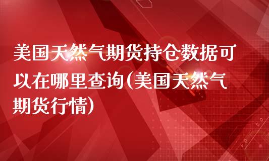 美国天然气期货持仓数据可以在哪里查询(美国天然气期货行情) (https://www.njaxzs.com/) 黄金期货 第1张