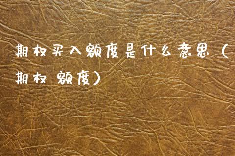 期权买入额度是什么意思（期权 额度） (https://www.njaxzs.com/) 内盘期货 第1张