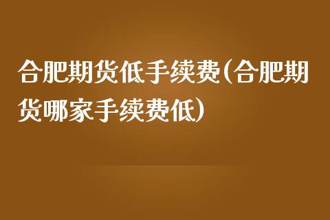 合肥期货低手续费(合肥期货哪家手续费低) (https://www.njaxzs.com/) 期货直播间 第1张
