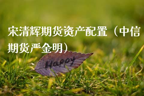 宋清辉期货资产配置（中信期货严金明） (https://www.njaxzs.com/) 期货直播间 第1张