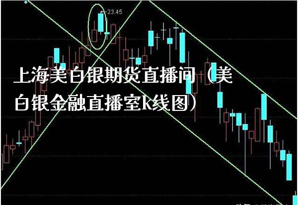 上海美白银期货直播间（美白银金融直播室k线图） (https://www.njaxzs.com/) 期货直播间 第1张