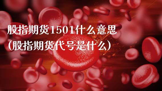 股指期货1501什么意思(股指期货代号是什么) (https://www.njaxzs.com/) 期货投资 第1张