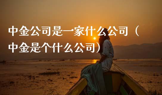 中金公司是一家什么公司（中金是个什么公司） (https://www.njaxzs.com/) 期货直播间 第1张
