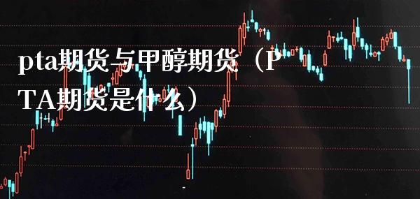 pta期货与甲醇期货（PTA期货是什么） (https://www.njaxzs.com/) 内盘期货 第1张