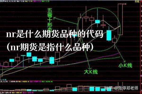 nr是什么期货品种的代码(nr期货是指什么品种) (https://www.njaxzs.com/) 期货直播间 第1张