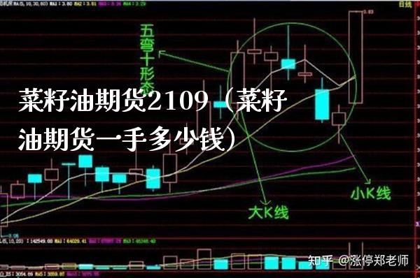 菜籽油期货2109（菜籽油期货一手多少钱） (https://www.njaxzs.com/) 内盘期货 第1张