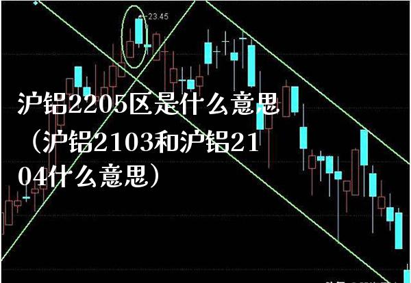 沪铝2205区是什么意思（沪铝2103和沪铝2104什么意思） (https://www.njaxzs.com/) 内盘期货 第1张
