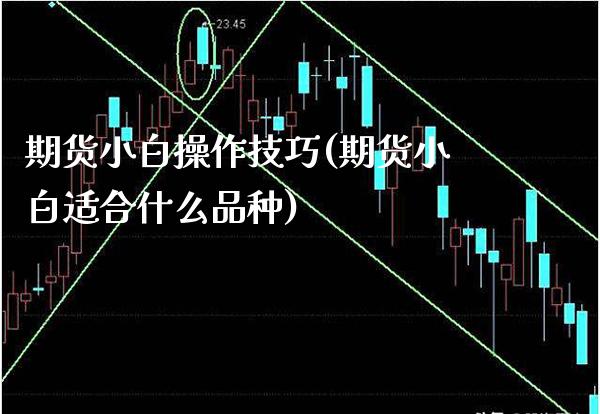 期货小白操作技巧(期货小白适合什么品种) (https://www.njaxzs.com/) 期货直播间 第1张