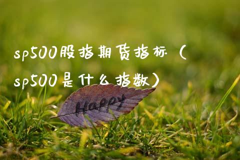 sp500股指期货指标（sp500是什么指数） (https://www.njaxzs.com/) 黄金期货 第1张