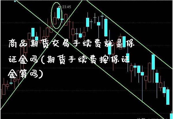 商品期货交易手续费就是保证金吗(期货手续费按保证金算吗) (https://www.njaxzs.com/) 期货直播间 第1张