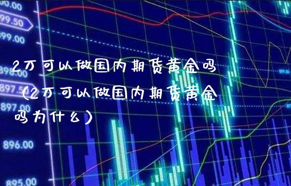 2万可以做国内期货黄金吗（2万可以做国内期货黄金吗为什么） (https://www.njaxzs.com/) 期货行情 第1张