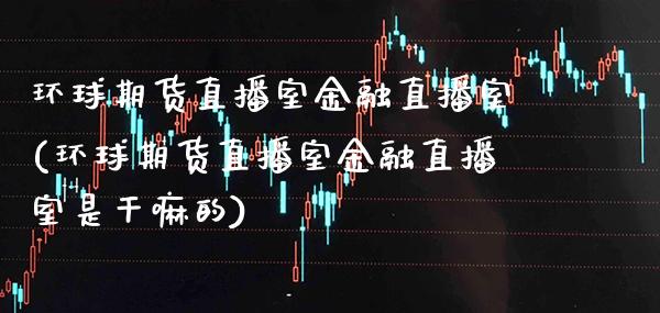环球期货直播室金融直播室(环球期货直播室金融直播室是干嘛的) (https://www.njaxzs.com/) 期货行情 第1张