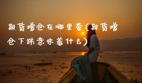 期货增仓在哪里查(期货增仓下跌意味着什么) (https://www.njaxzs.com/) 期货行情 第1张