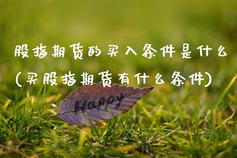 股指期货的买入条件是什么(买股指期货有什么条件) (https://www.njaxzs.com/) 期货开户 第1张