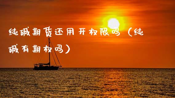 纯碱期货还用开权限吗（纯碱有期权吗） (https://www.njaxzs.com/) 期货直播间 第1张