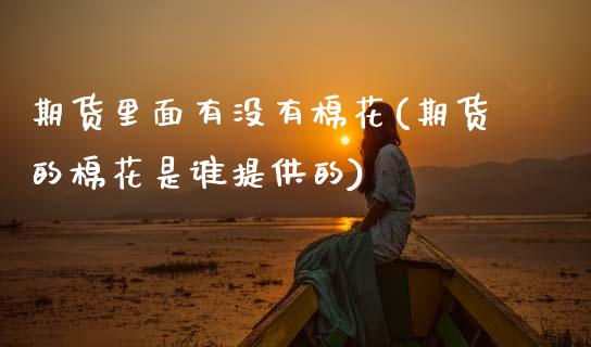 期货里面有没有棉花(期货的棉花是谁提供的) (https://www.njaxzs.com/) 期货开户 第1张